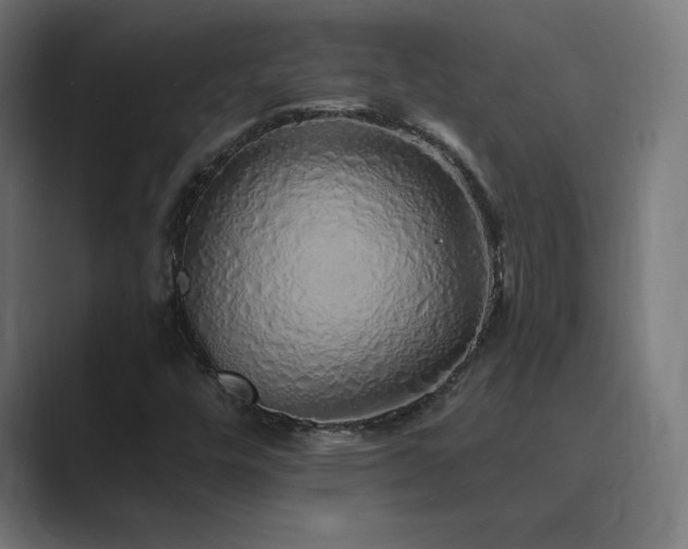 X0000089961448200706291221