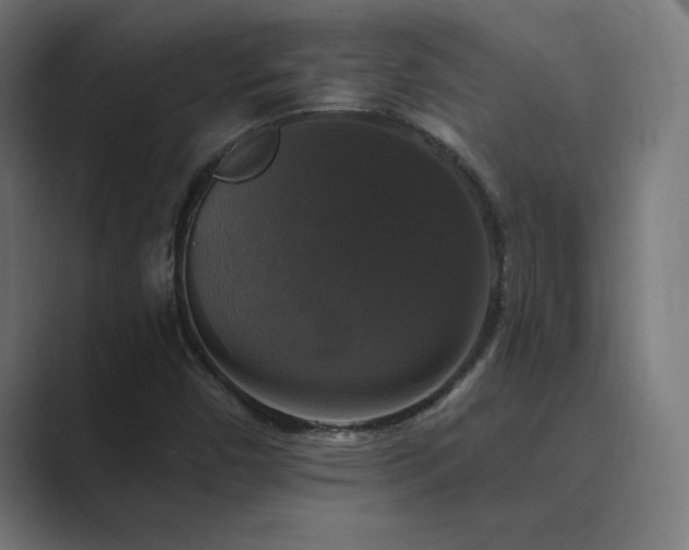 X0000089961450200706291221