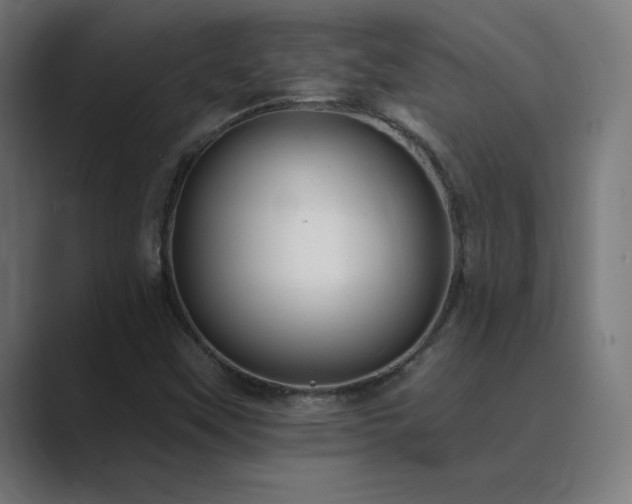 X0000089961451200706291221