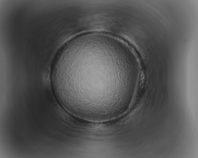 X0000089961452200706291221
