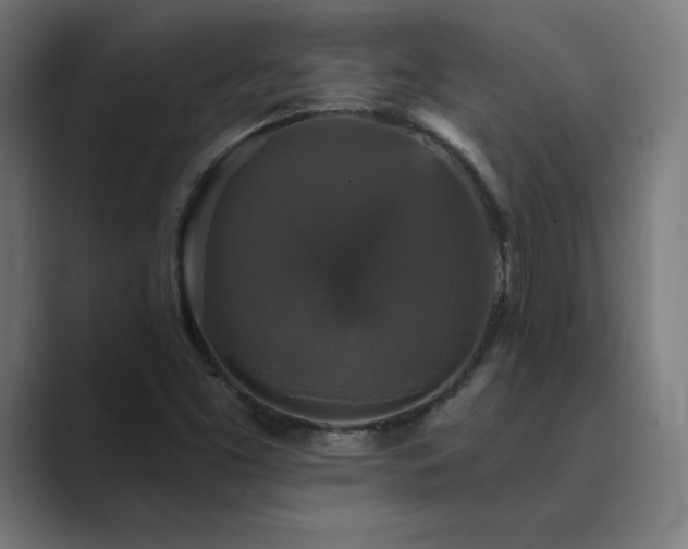 X0000089961453200706291221