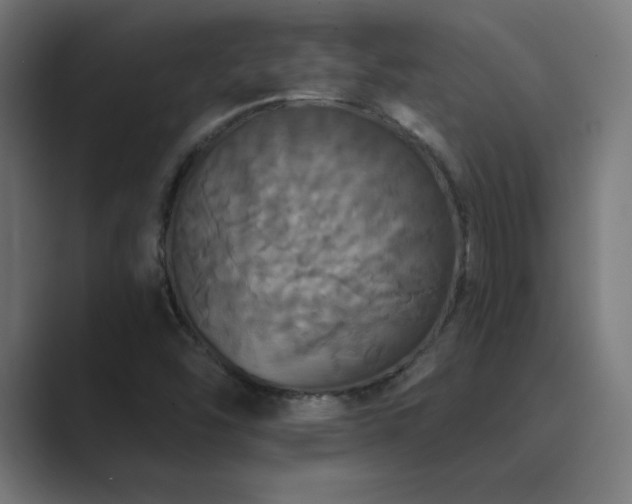 X0000089961454200706291221
