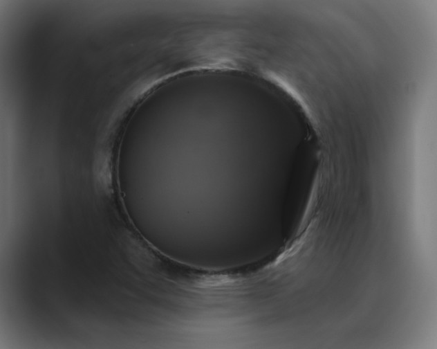 X0000089961455200706291221