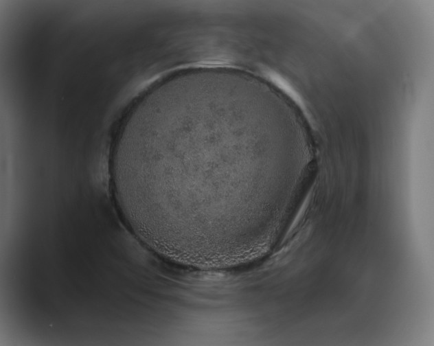 X0000089961456200706291221