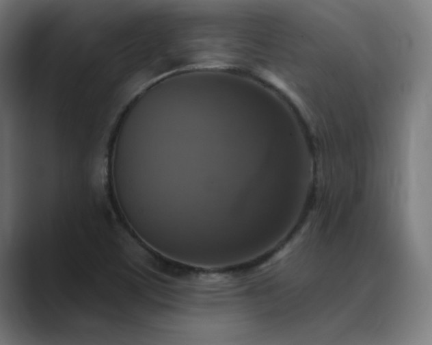 X0000089961459200706291221