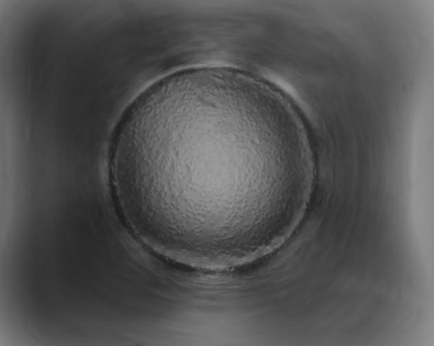 X0000089961460200706291221