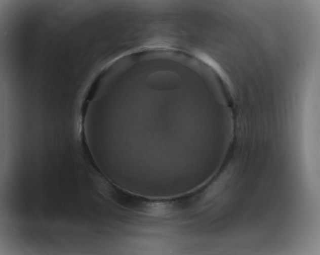 X0000089961461200706291221