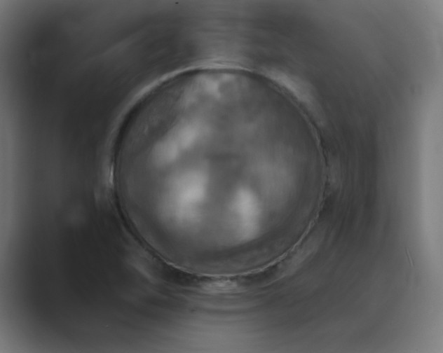 X0000089961462200706291221