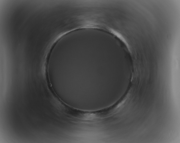 X0000089961463200706291221