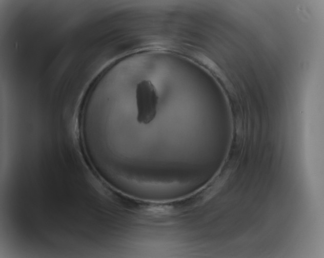 X0000089961466200706291221