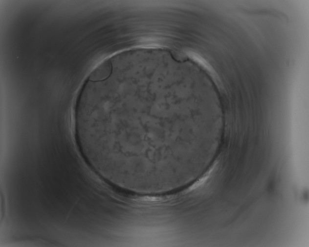 X0000089961467200706291221