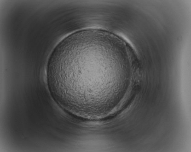 X0000089961468200706291221