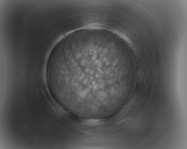 X0000089961470200706291221