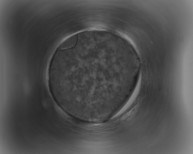 X0000089961471200706291221