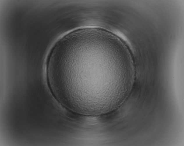 X0000089961472200706291221