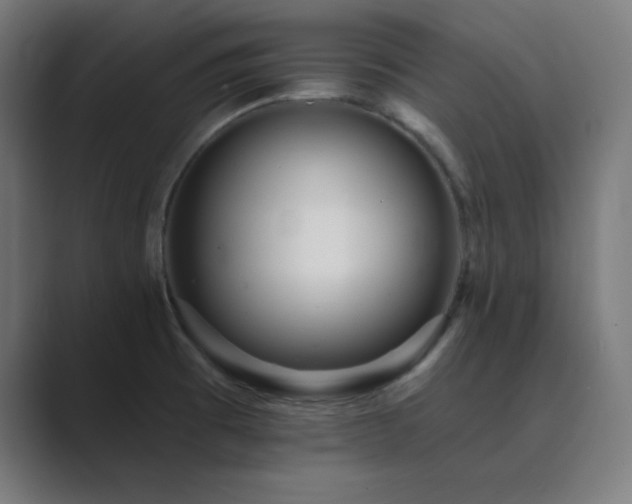 X0000089961473200706291220