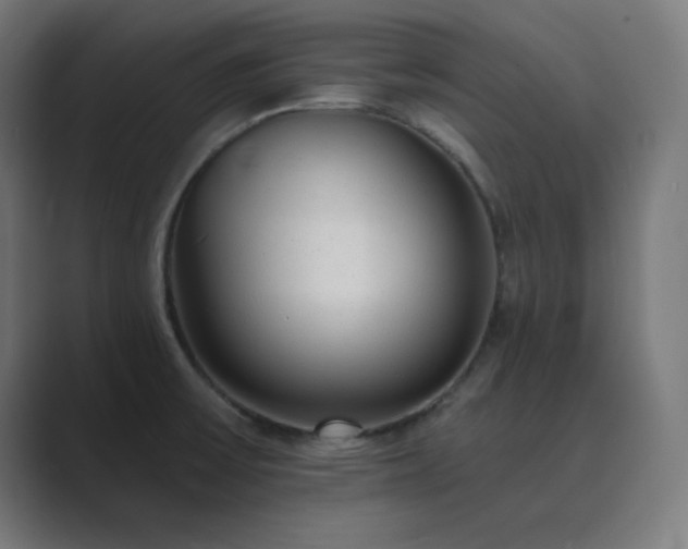 X0000089961475200706291220