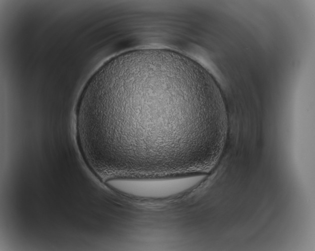 X0000089961476200706291220
