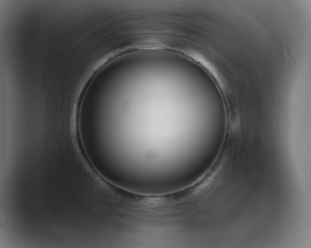 X0000089961477200706291220