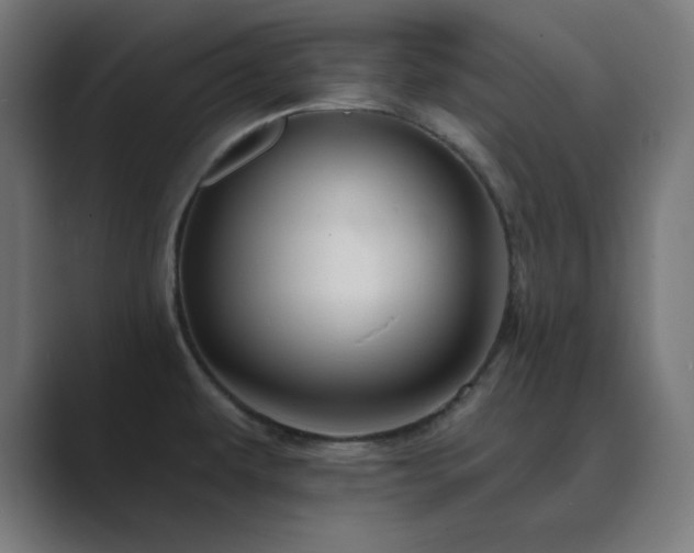 X0000089961479200706291220