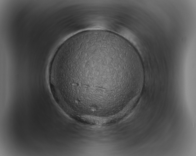 X0000089961480200706291220
