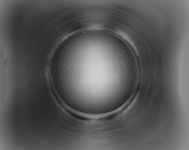 X0000089961481200706291220