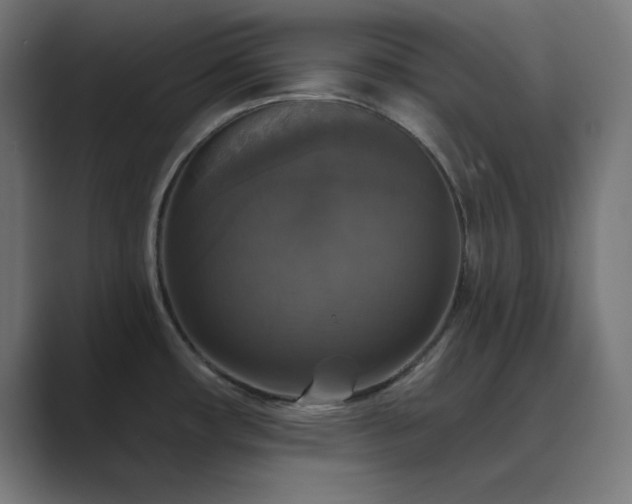 X0000089961482200706291220