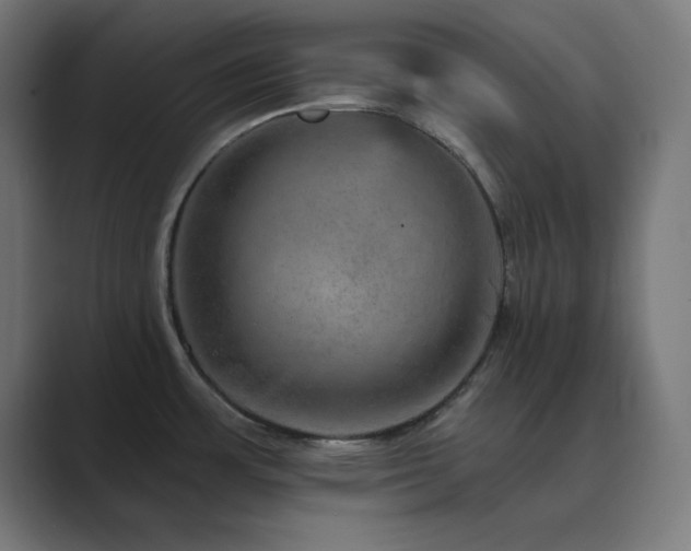 X0000089961483200706291220