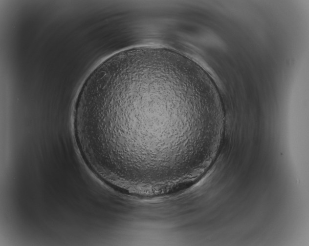 X0000089961484200706291220