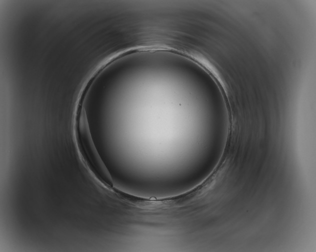 X0000089961485200706291220