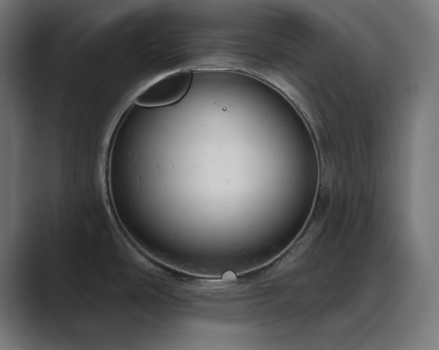 X0000089961486200706291220