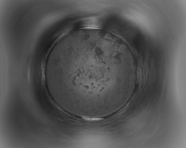 X0000089961487200706291220