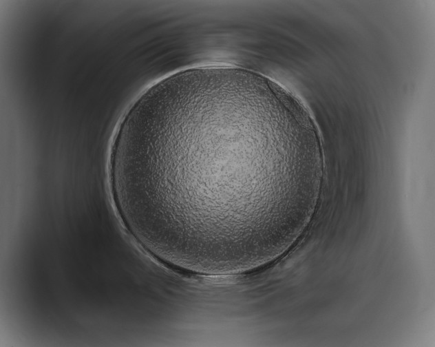 X0000089961488200706291220