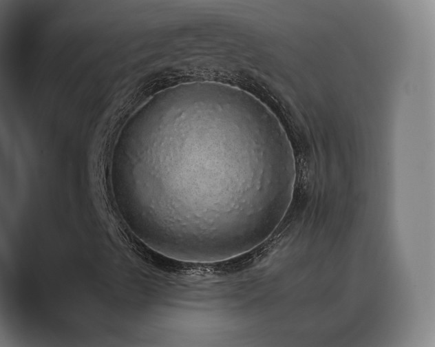 X0000089961489200706291220