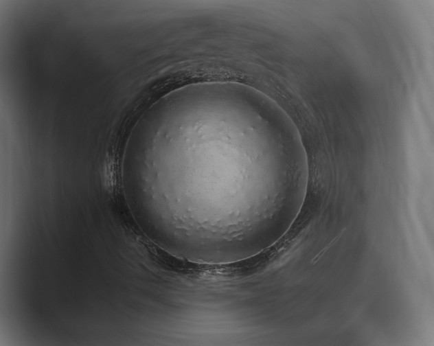 X0000089961490200706291220