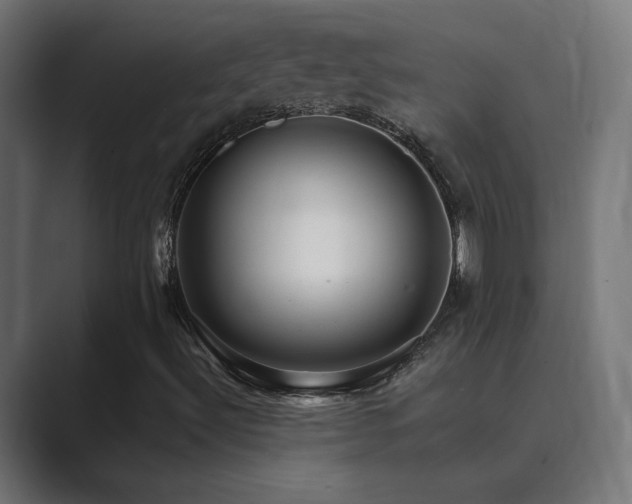 X0000089961492200706291220