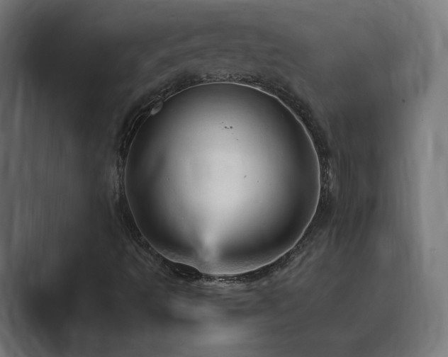 X0000089961493200706291220