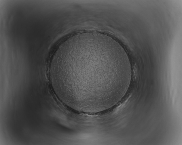 X0000089961494200706291220