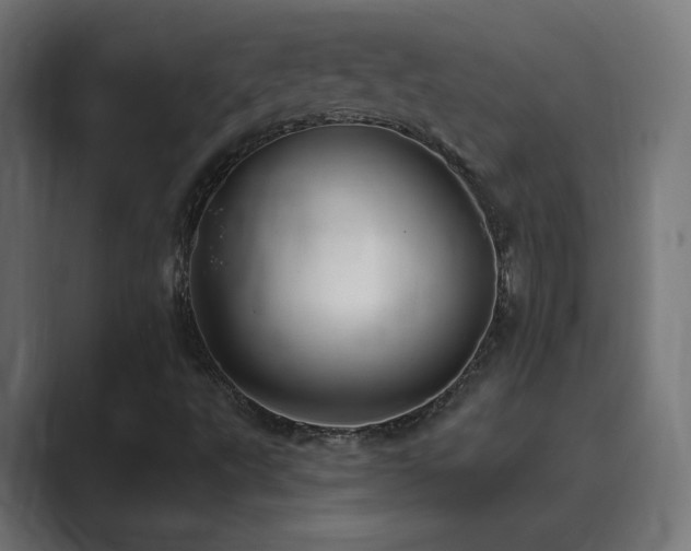X0000089961495200706291220