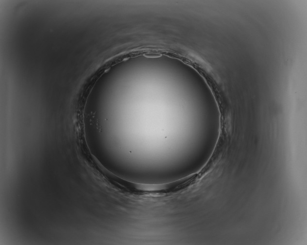 X0000089961496200706291220