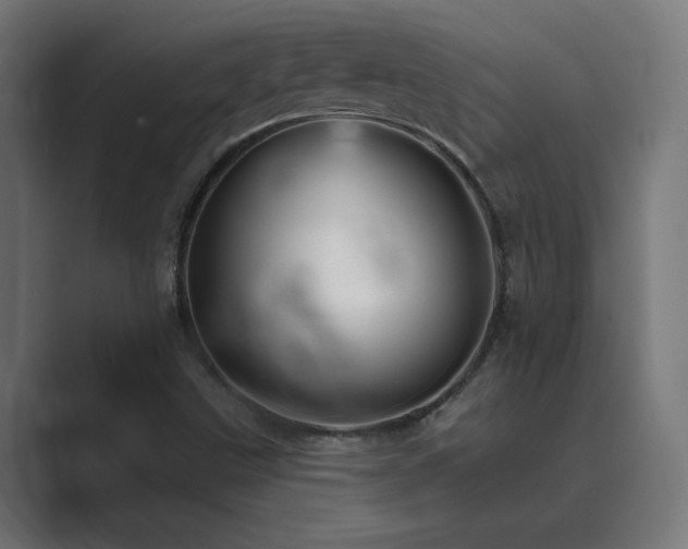 X0000089961499200706291220