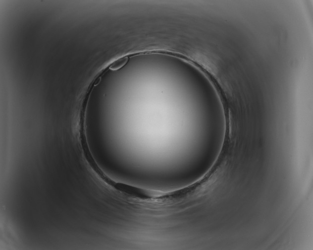 X0000089961500200706291220