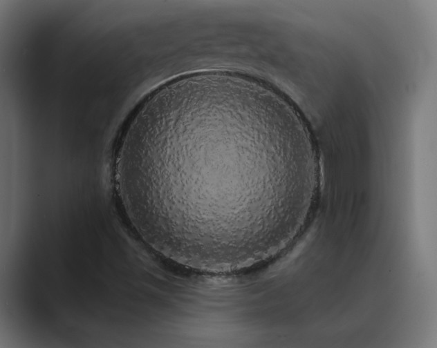 X0000089961501200706291220