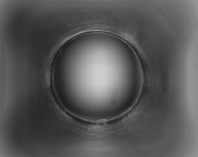 X0000089961504200706291220