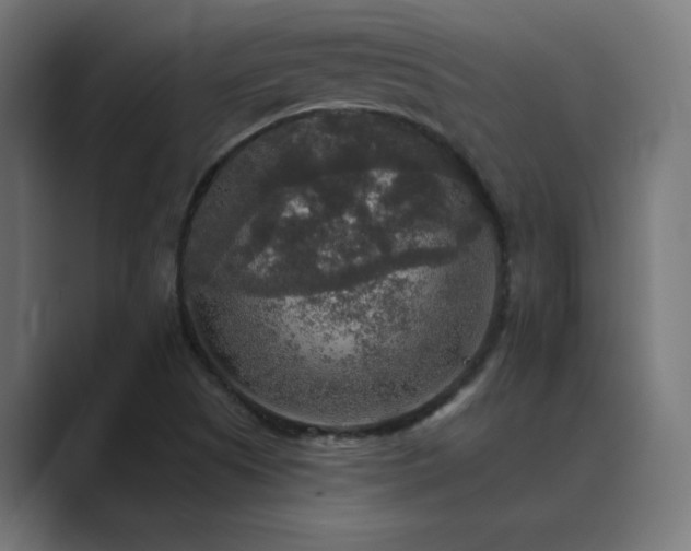 X0000089961505200706291220
