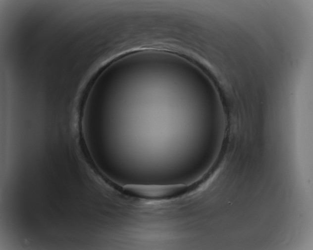 X0000089961506200706291220