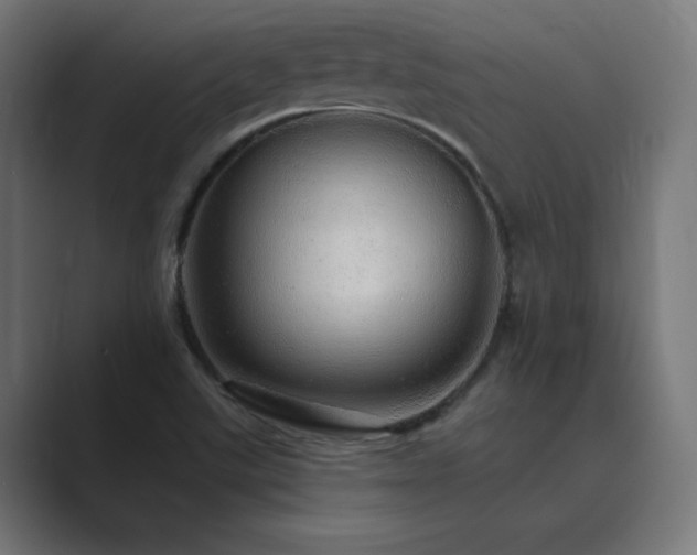 X0000089961507200706291220