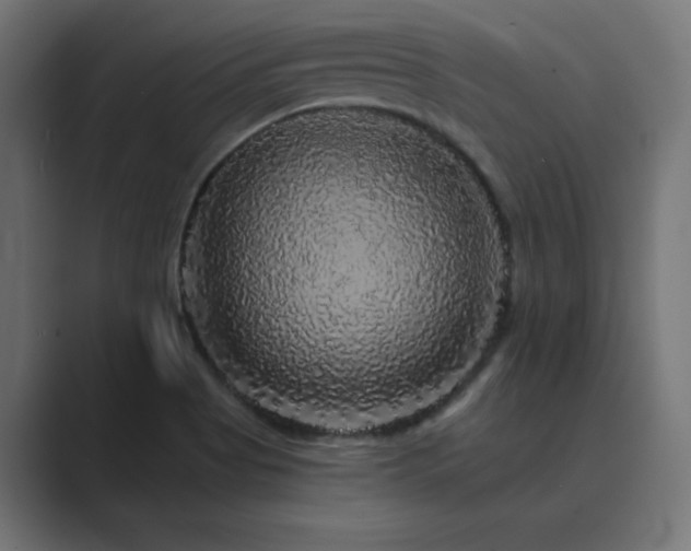 X0000089961513200706291220