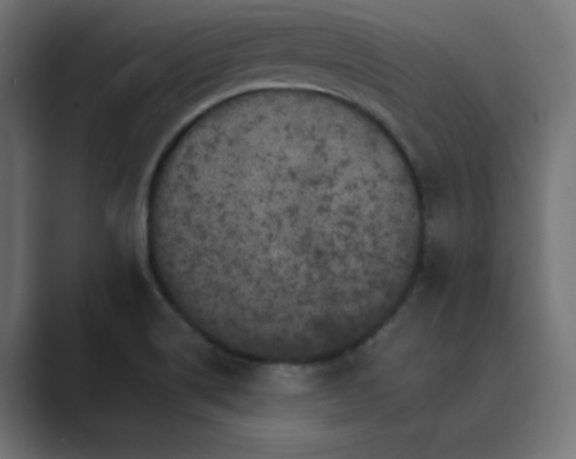 X0000089961514200706291220