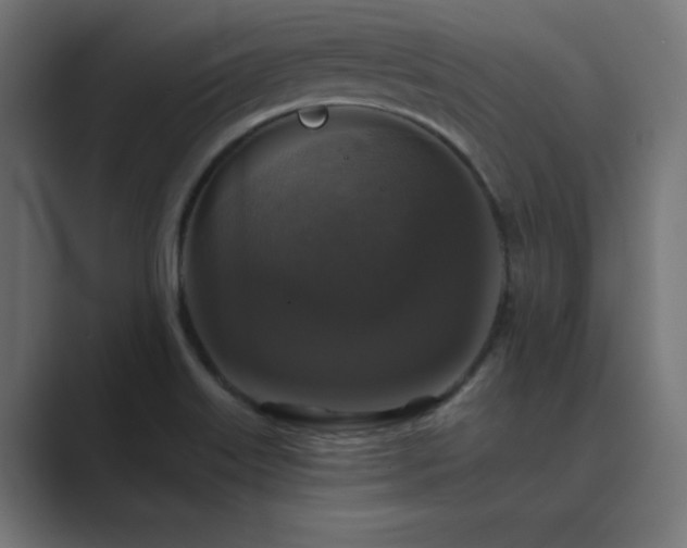 X0000089961515200706291220